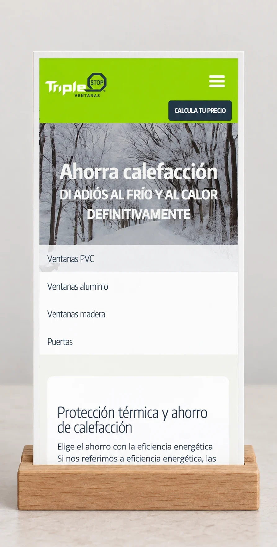 Triplestop · diseño web: web en panel