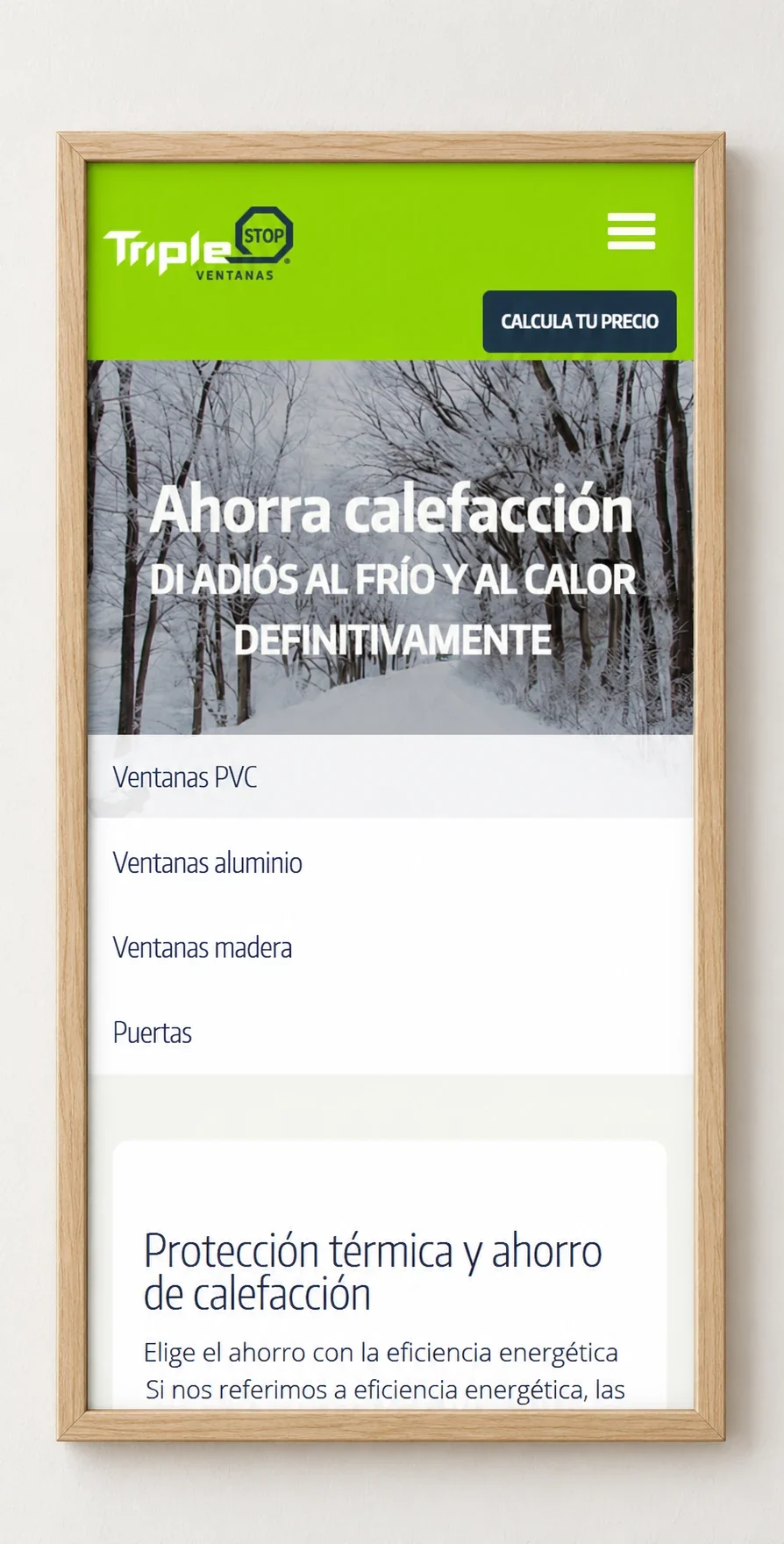 Triplestop · diseño web: web enmarcada