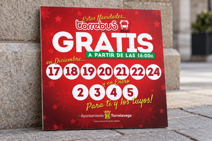 Torrebus · Navidad 2018: vinilo en panel
