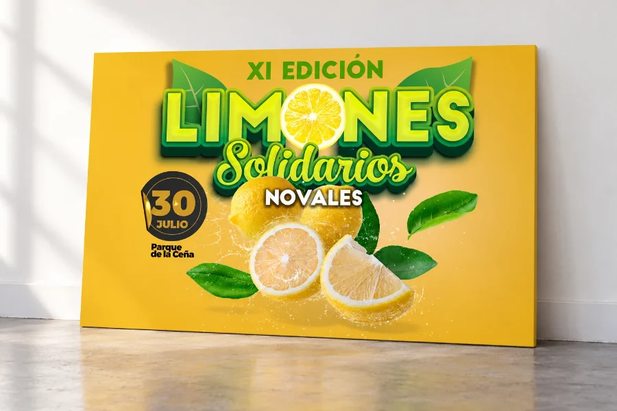 Limones Solidarios · web: presentación en panel
