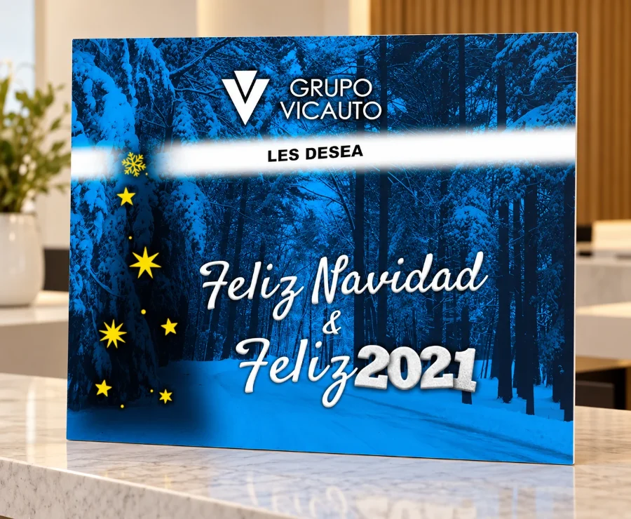 Grupo Vicauto · Navidad 2019-2020: presentación en panel