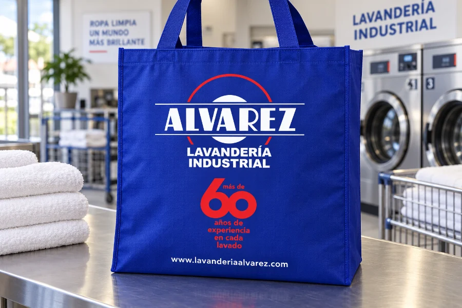 Lavandería Álvarez · bolsa: bolsa (1 de 2)