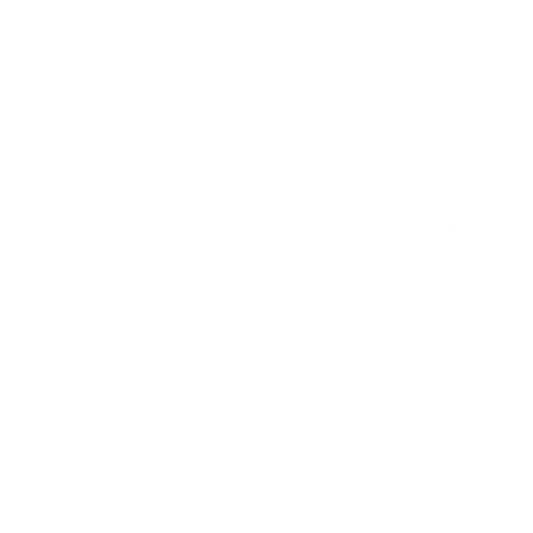 Subaster · identidad y web: identidad (8 de 8)