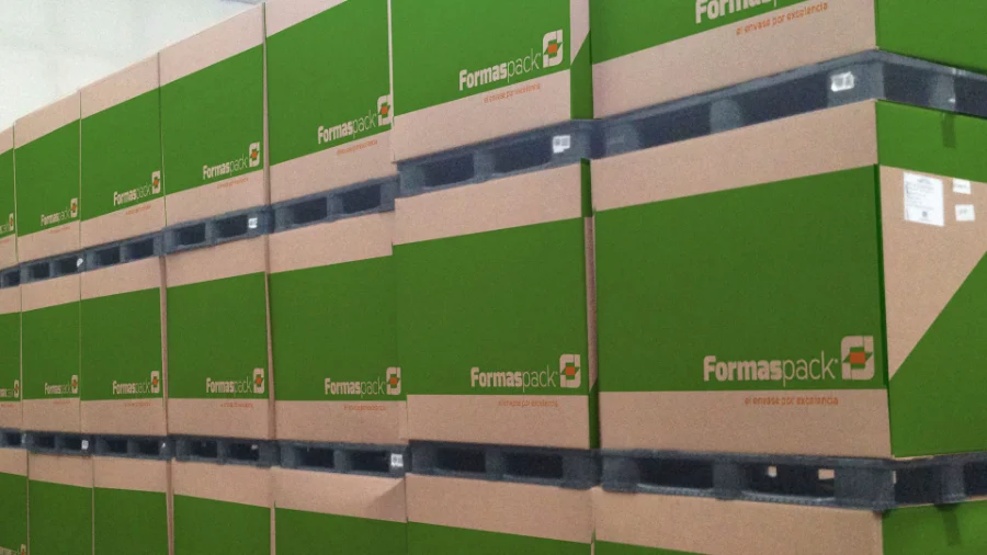 Formaspack · identidad y web: identidad (3 de 8)