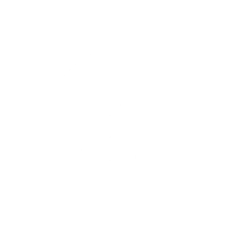 Surfances · logotipo: identidad
