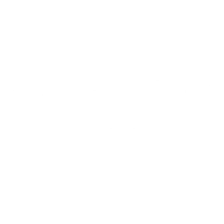 Eclectia · identidad y web: identidad (6 de 6)