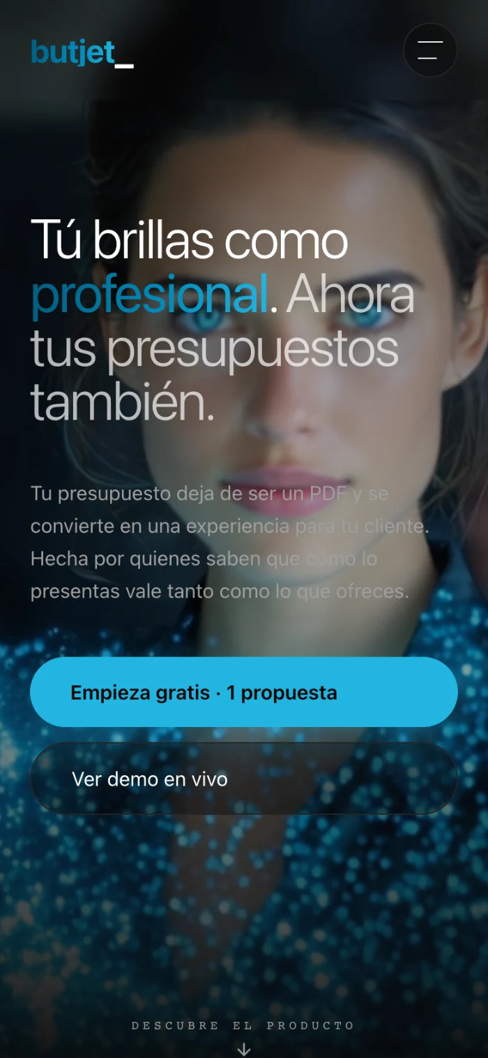Web de Butjet en el móvil