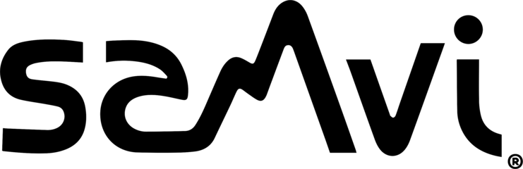 Logotipo de Sanvi Surf