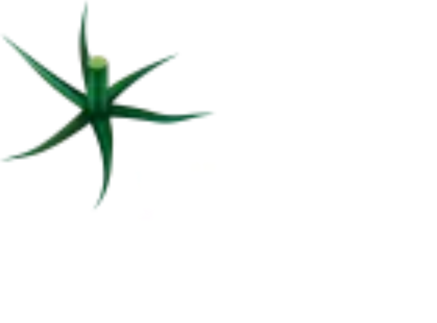 Logotipo de Festival del Tomate