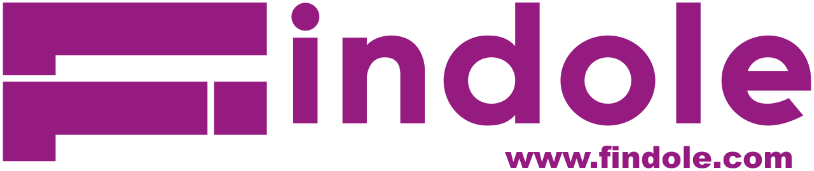 Logotipo de Findole · Bono IA