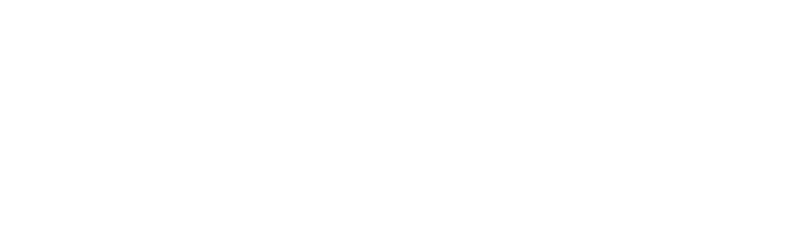 Logotipo de Solodart