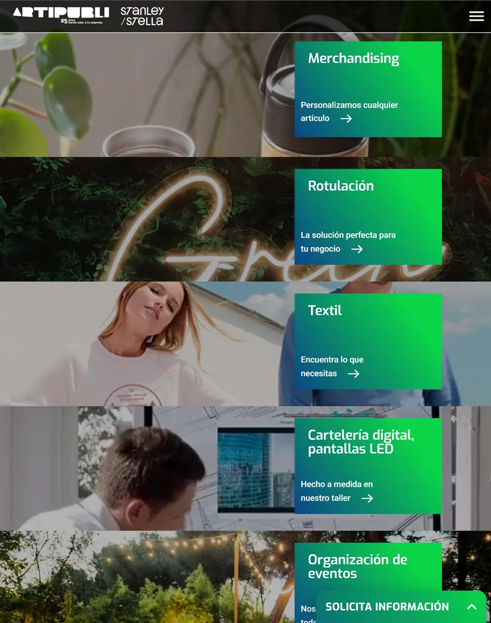 Web de Artipubli en la tableta
