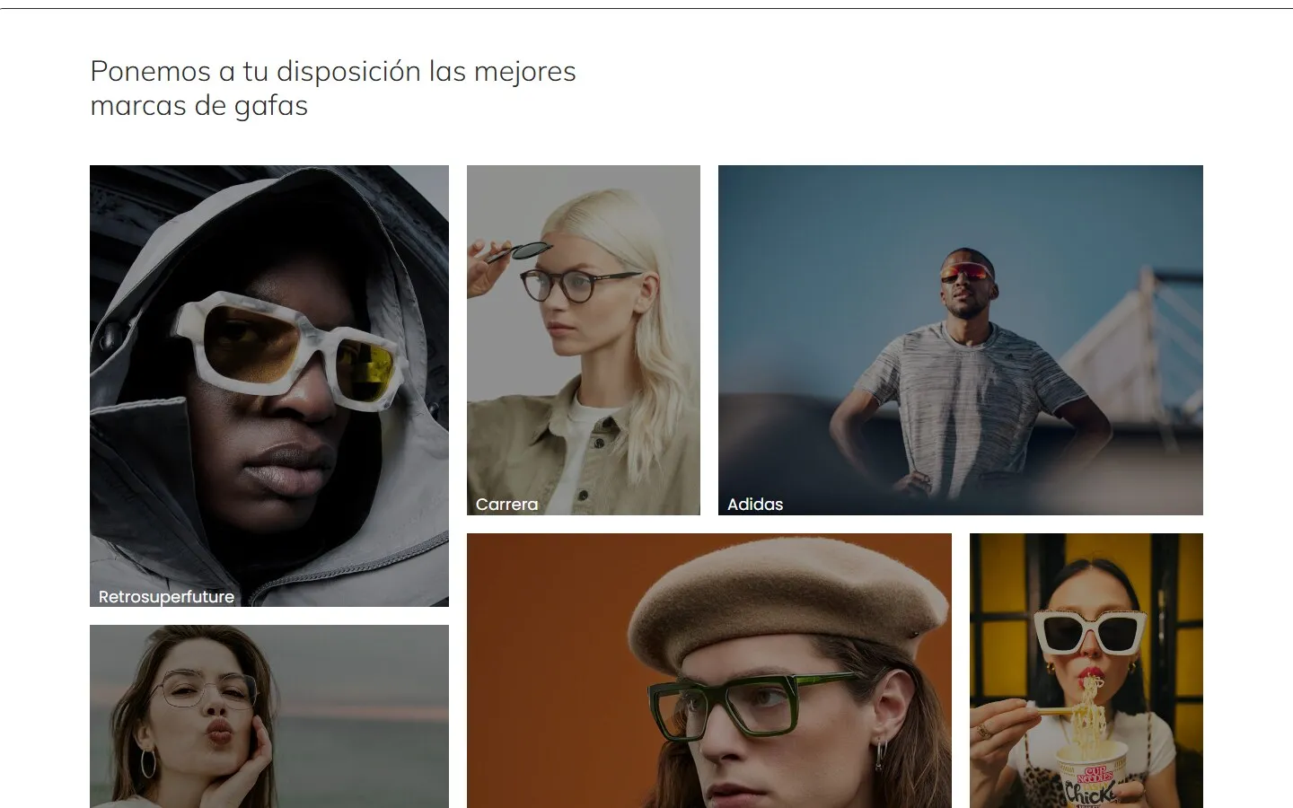 Otra sección de la web de Óptica Burgos