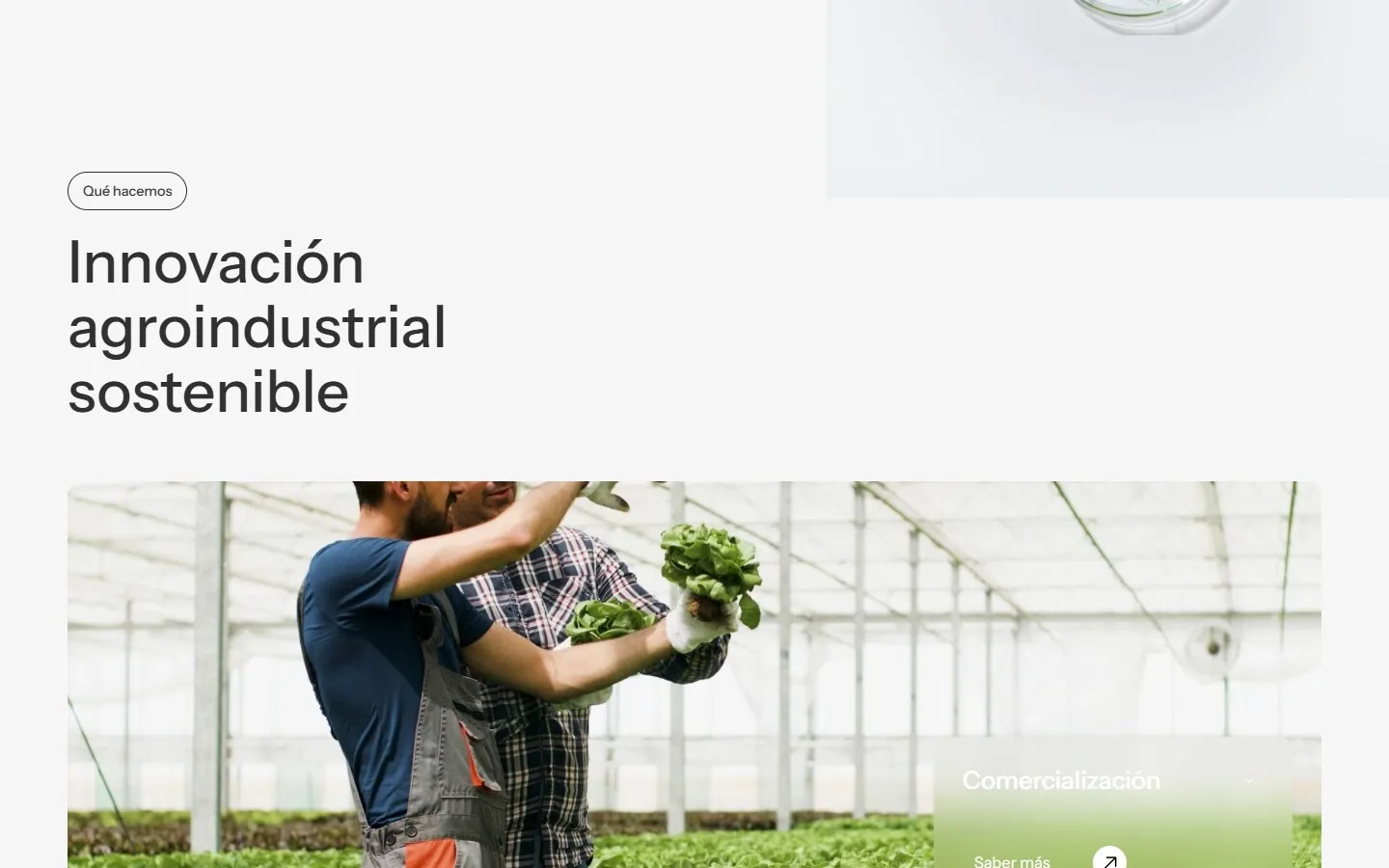 Otra sección de la web de Castilla Bio Lab