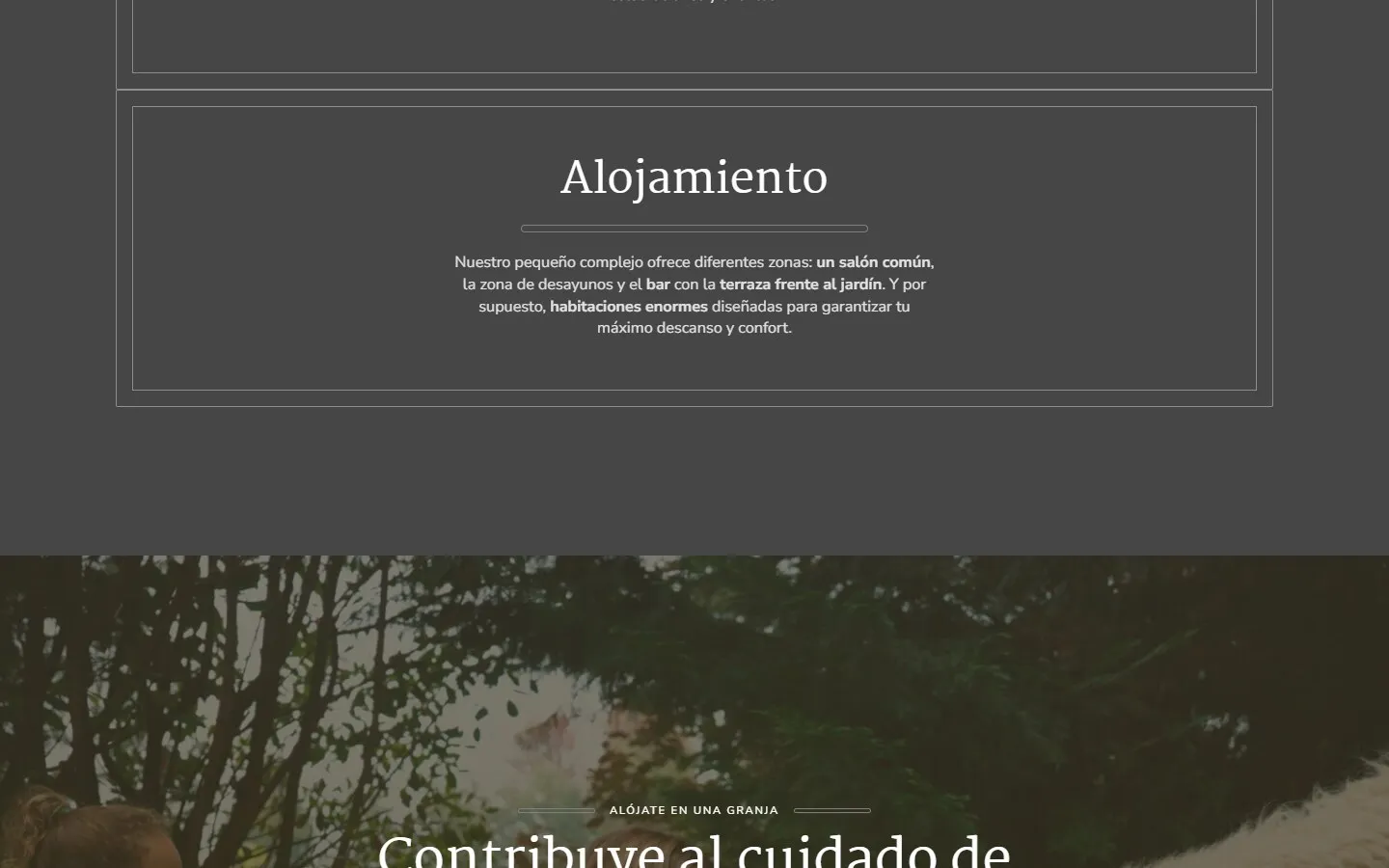 Otra sección de la web de La Fuentona de Santillana
