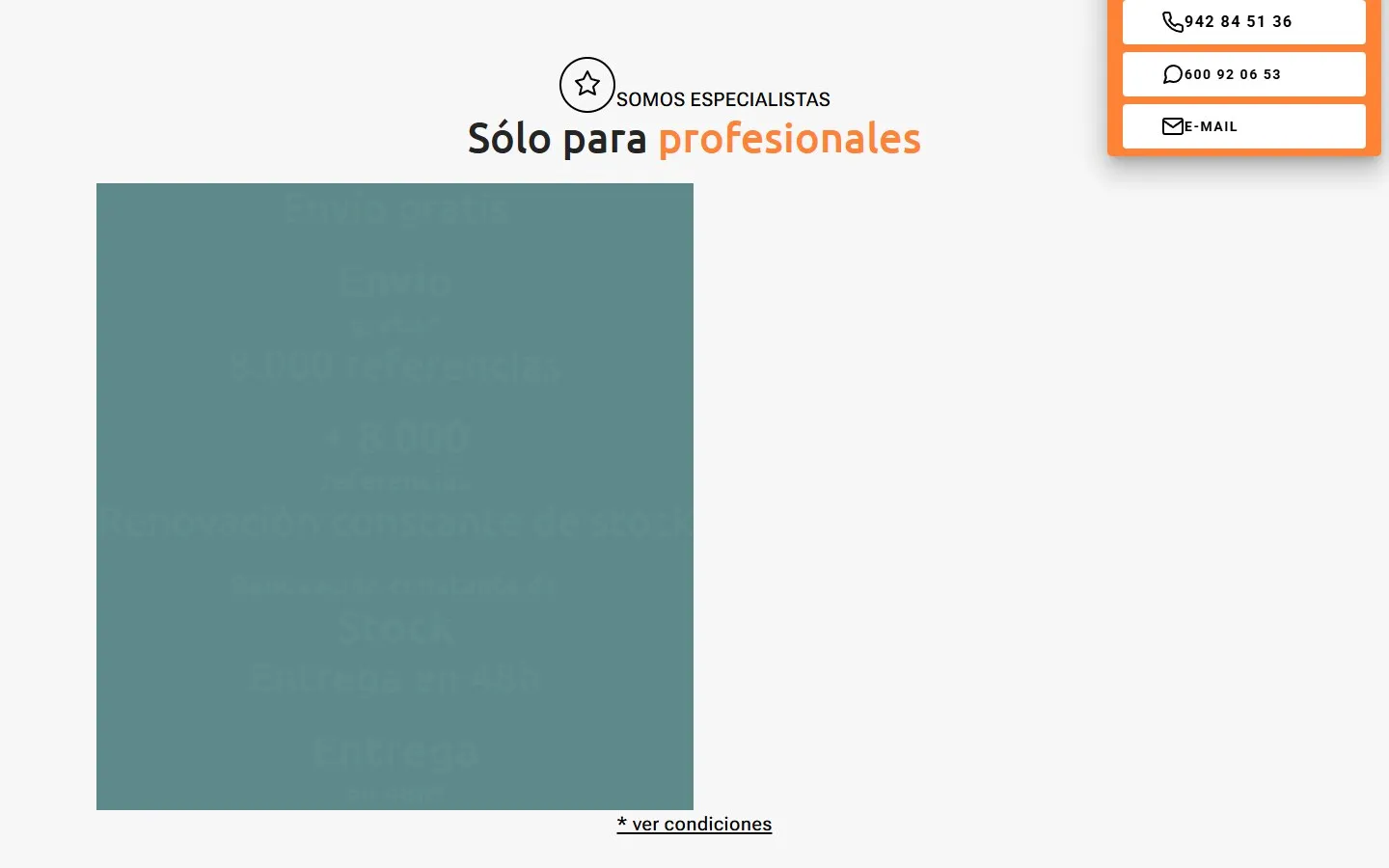Una sección de la web de Mayorista Bazar · Almacenes Polanco