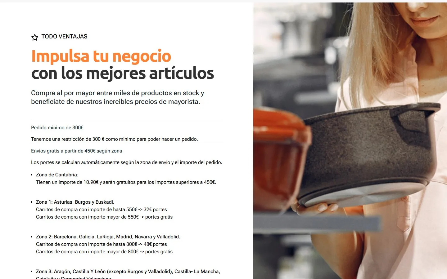 Otra sección de la web de Mayorista Bazar · Almacenes Polanco