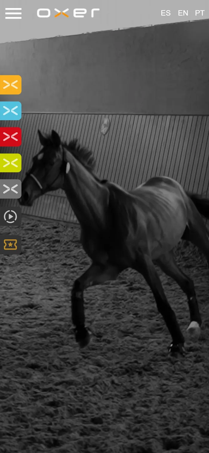 Web de Oxer Sport en el móvil